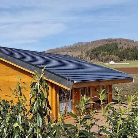 Galerie-chalet Vulkaneifel 46 Prázdninový dům